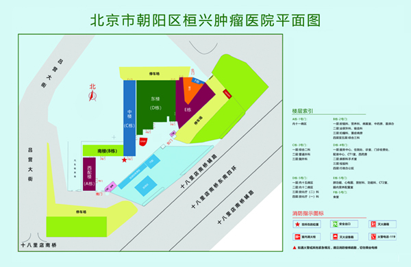 老女人最爱大黑屌肏不够北京市朝阳区桓兴肿瘤医院平面图